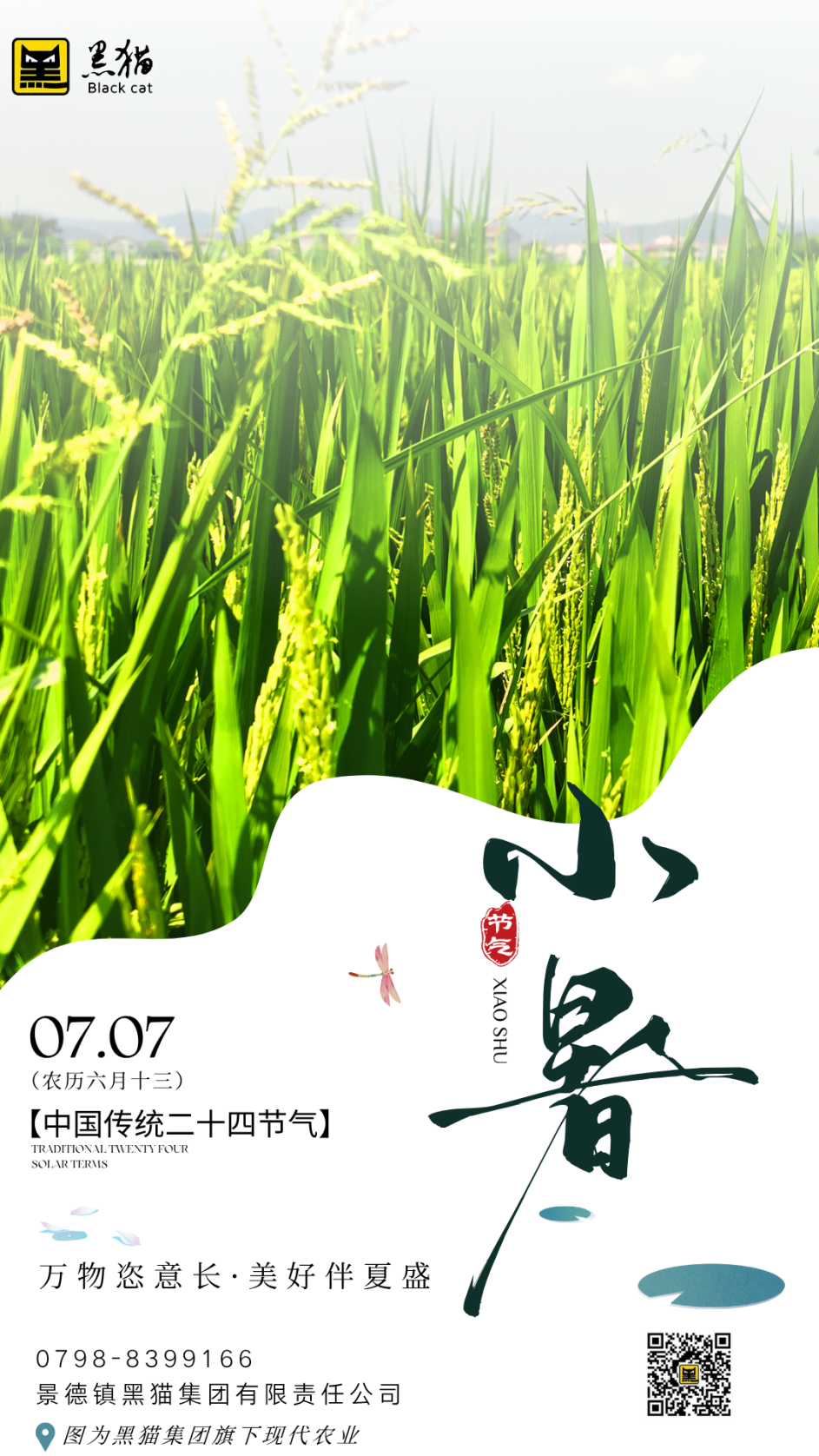 7e8207046a95415da5d9b2a41519d53a.png